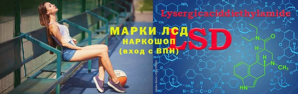 дмт Верея
