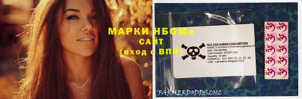 дмт Верея